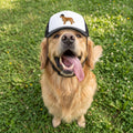 Dog Hat Trucker Cap with Ear Holes & Chin Strap